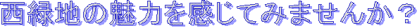 announce.png(5210 byte)