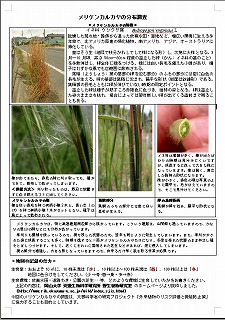 karukayas.jpg(42707 byte)