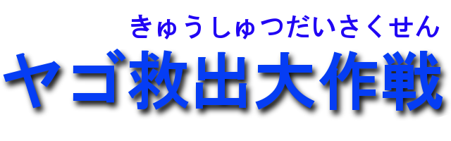���S�~�o����